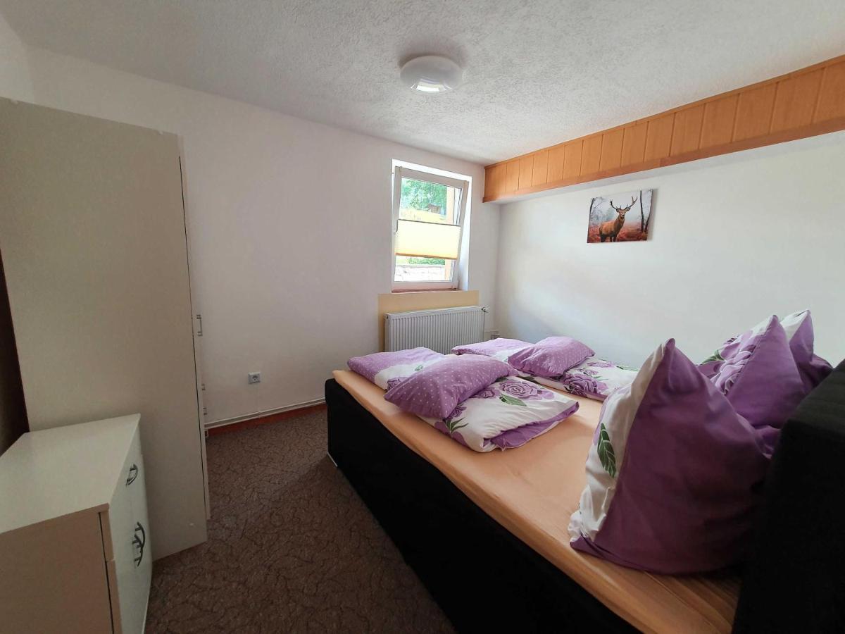 Appartement Haus Sonja à Tanne Extérieur photo