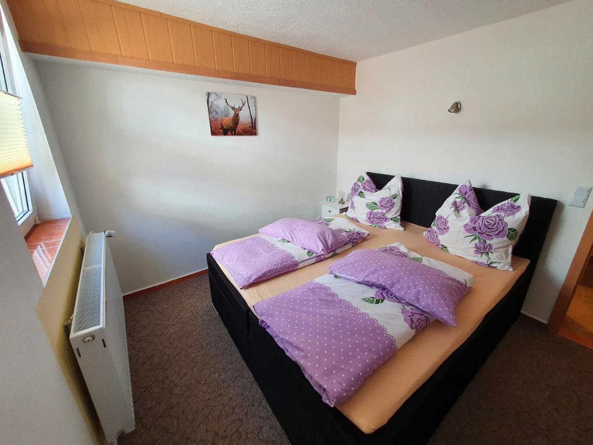 Appartement Haus Sonja à Tanne Extérieur photo