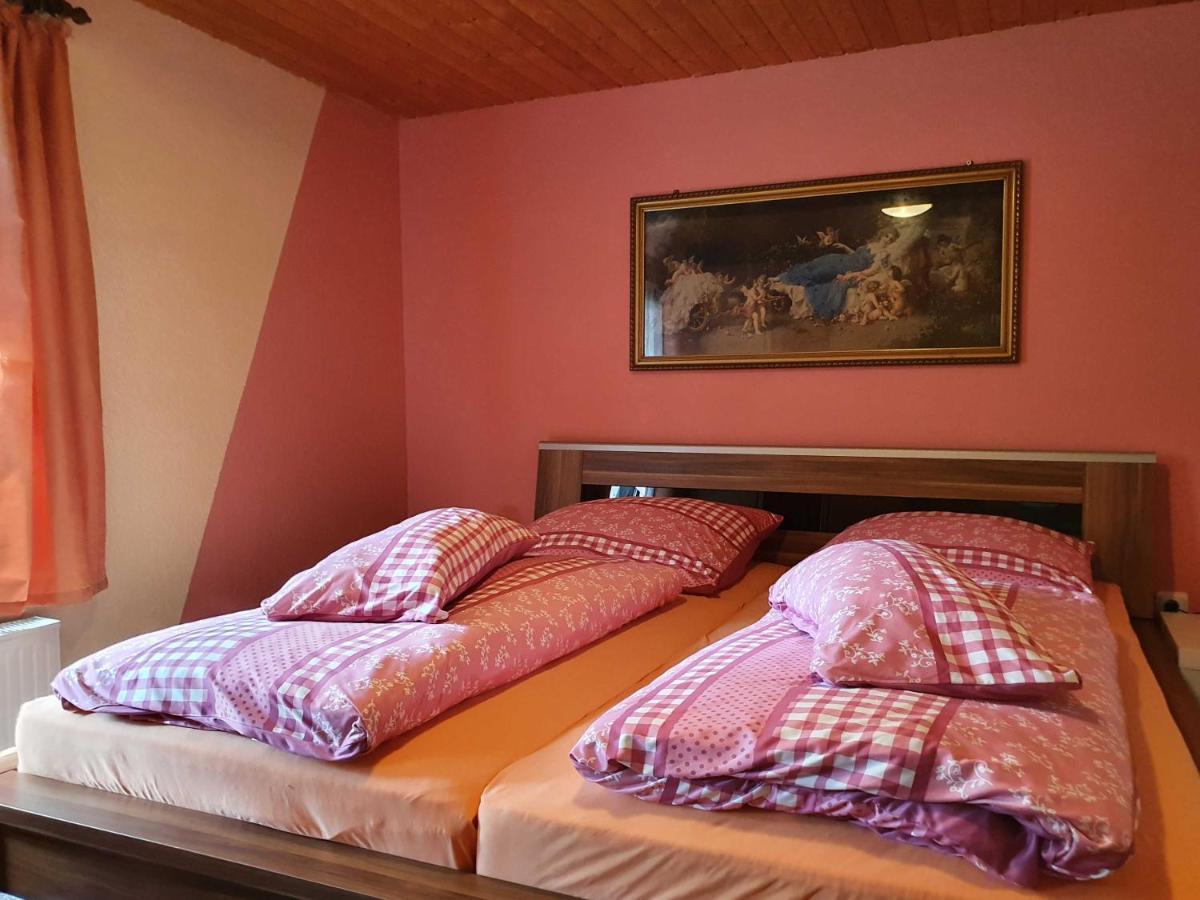 Appartement Haus Sonja à Tanne Extérieur photo