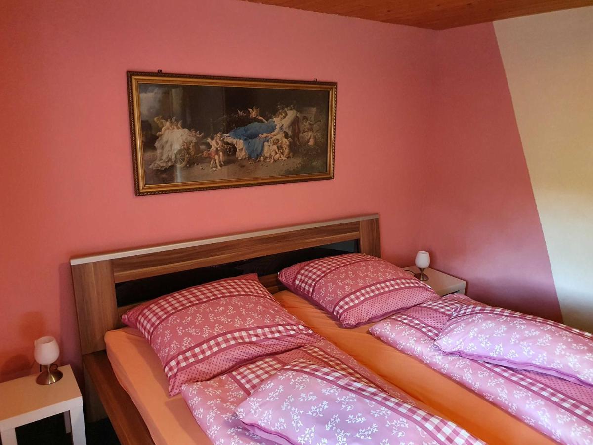 Appartement Haus Sonja à Tanne Extérieur photo